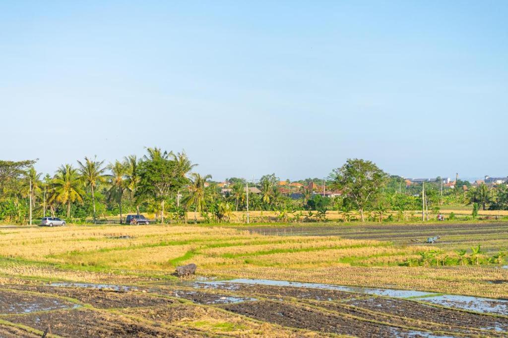 Pondok Lulik Seseh Beach Munggu Zewnętrze zdjęcie